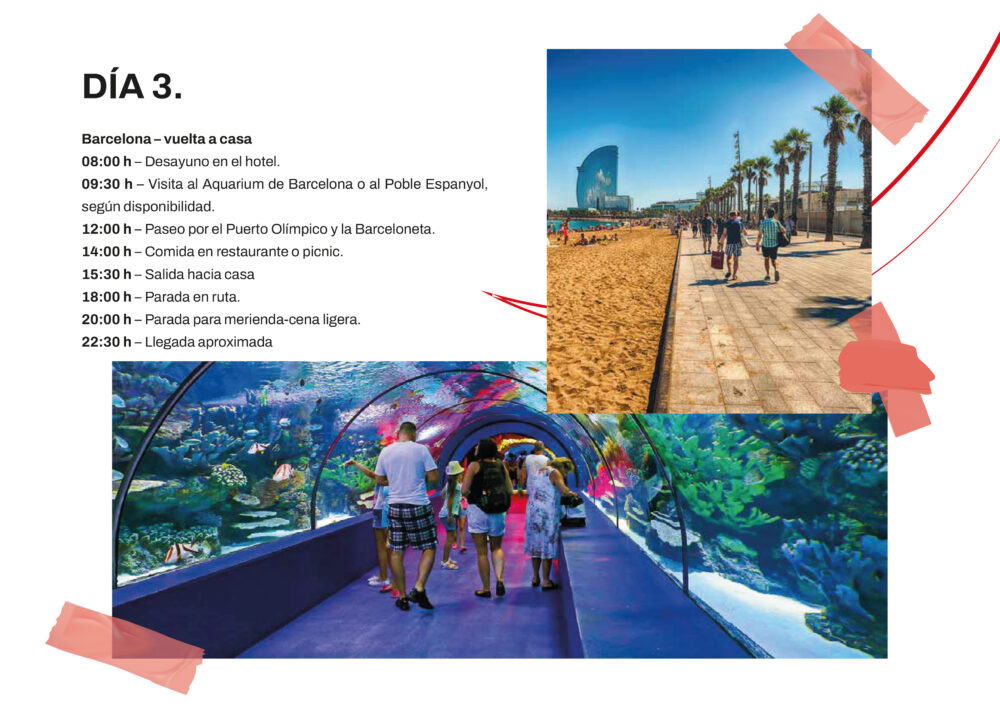 PAGINA_1-50