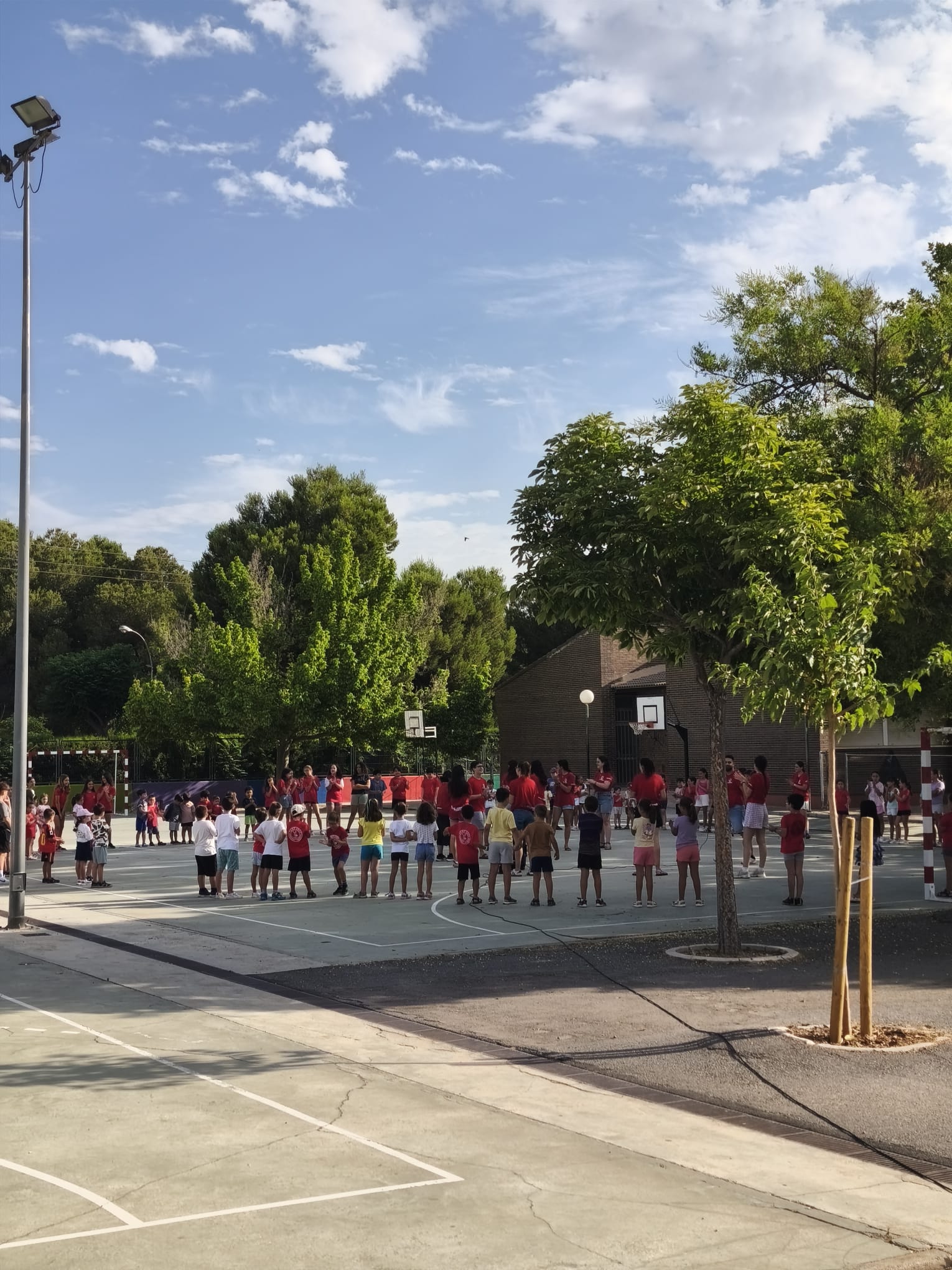 VERANO TORBELLINO (10)