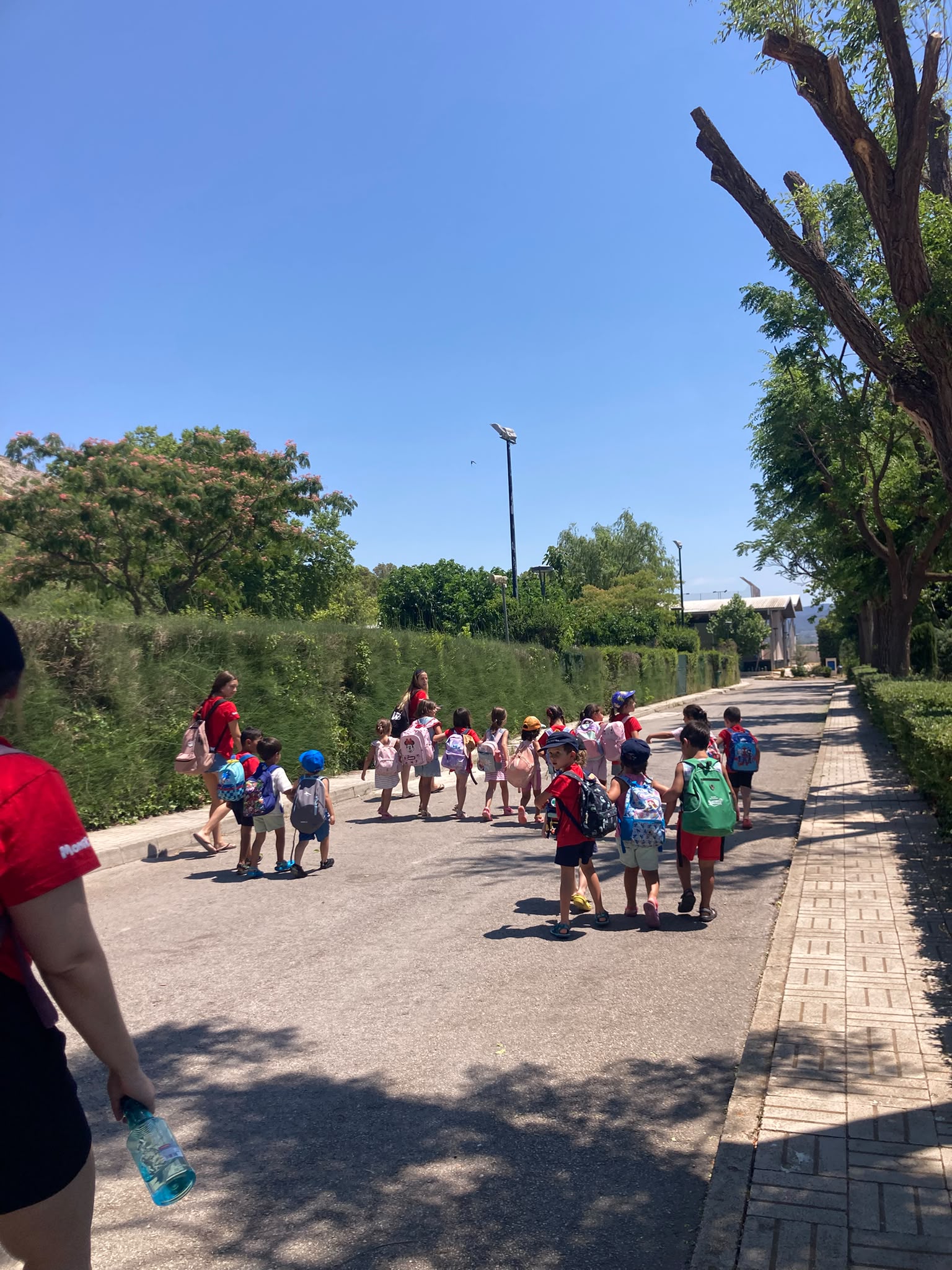 VERANO TORBELLINO (11)