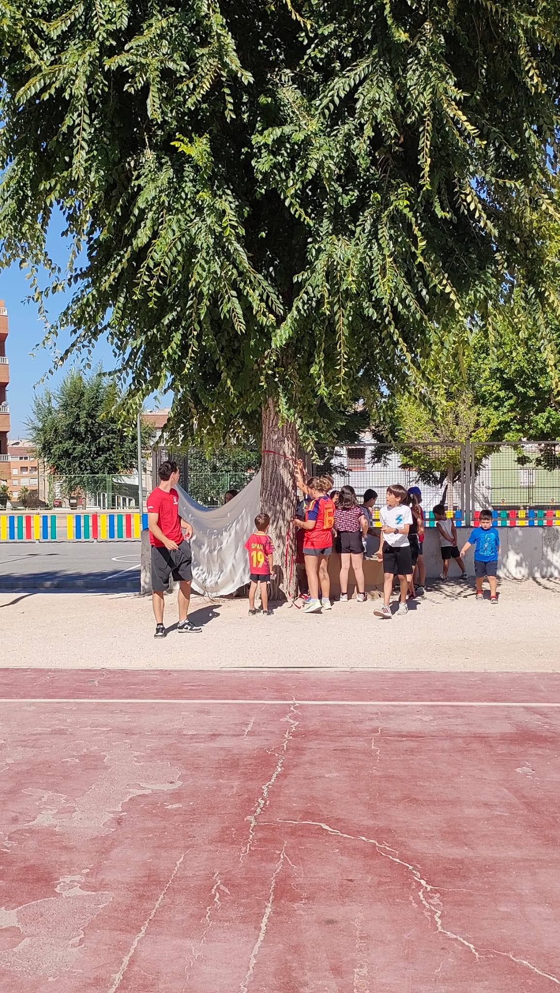 VERANO TORBELLINO (2)